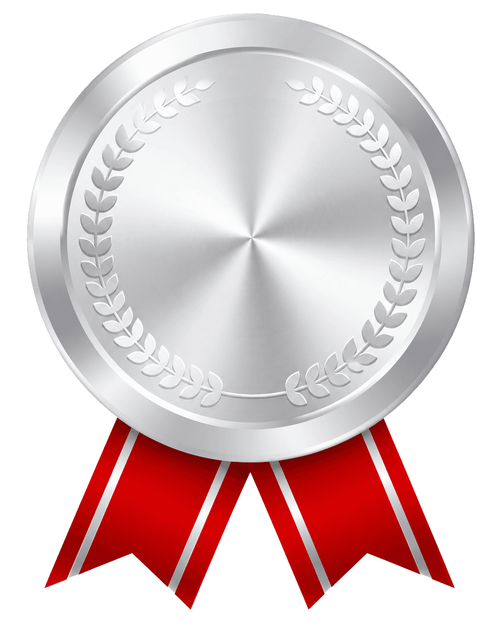 白银级（Silver）奖章